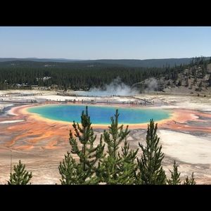 Meet your Posher, Ying